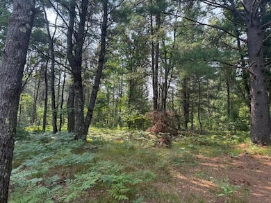 624 W 12th St, Baldwin, MI 49304 - photo 4