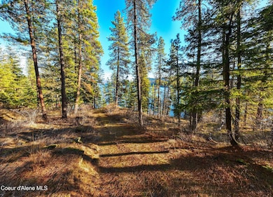 DJI_20250122061634_0839_D