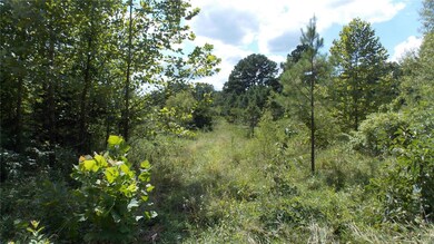 0 County Road 422, Epps Township, MO 63901 - photo 2