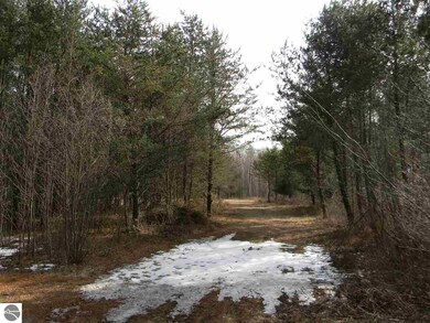 N/A Denstedt Rd, Hale, MI 48739 - photo 2