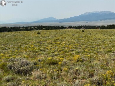 344 Cherokee Trail, Westcliffe, CO 81252 - photo 6
