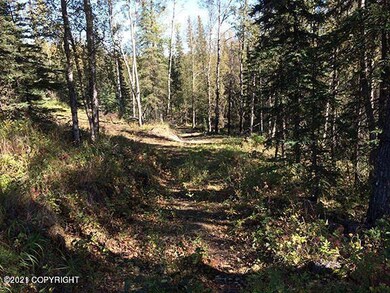 3730 W. Little Rain Rd.- Lot Pics.- #5