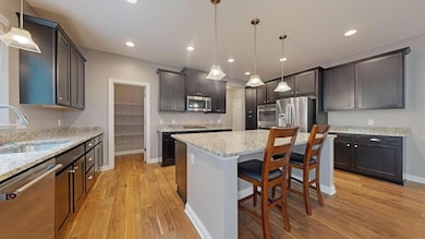 5585 Orchard Cove, Minnetrista, MN 55364 - photo 3