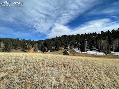 991 Twin Lakes Dr, Divide, CO 80814 - photo 5