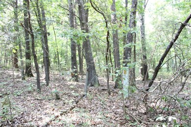 0 Welland Ln, Bella Vista, AR 72715 - photo 5