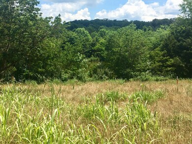 102 Kanutsu Ln, Loudon, TN 37774 - photo 6