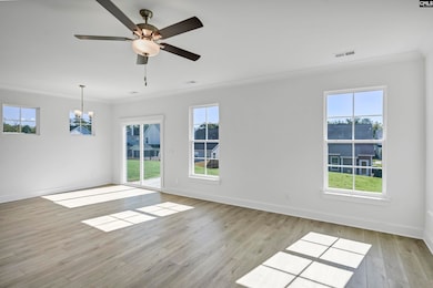 628 Thunder Gulch Ave, Lexington, SC 29073 - photo 7