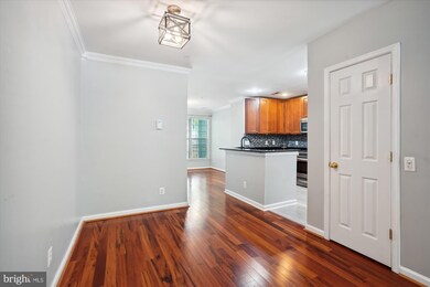 45478 Whistling Terrace unit 82, Sterling, VA 20166 - photo 7