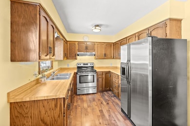 217 Beech St, Chaska, MN 55318 - photo 3