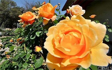 1340 Butler Way, Upland, CA 91786 - photo 5