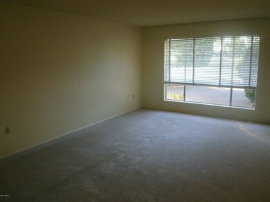 10133 W Ironwood Dr, Sun City, AZ 85351 - photo 5