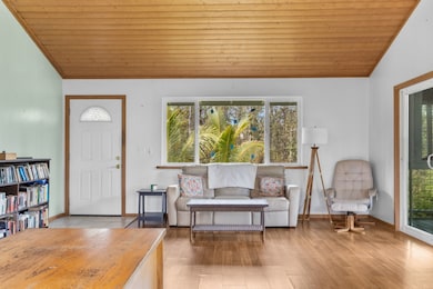 16-1046 Opeapea Rd, Mountain View, HI 96771 - photo 4