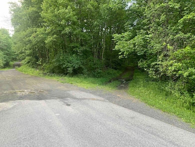 0 Eagle Nest Rd, Coxsackie, NY 12058 - photo 6