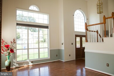 5 Harry Ct, Stafford, VA 22554 - photo 6