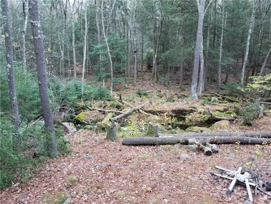 0 Bull Hill Rd unit 1177523, Woodstock, CT 06281 - photo 3