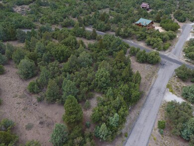 DJI_0070