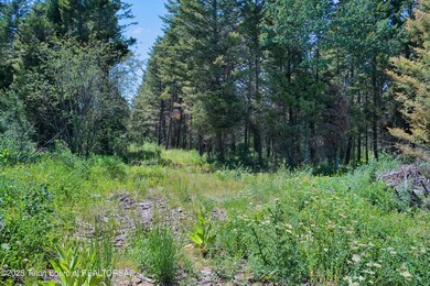 5 clearing looking toward access drivewa
