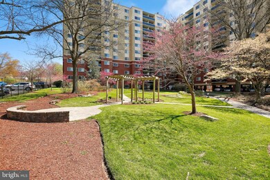 Takoma Overlook Condominium, Takoma Park, MD 20912 - photo 2