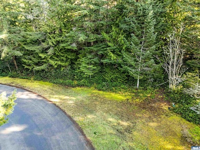 9999 Hunt Rd, Port Angeles, WA 98363 - photo 3