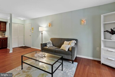 1704 Mount Washington Ct unit H, Baltimore, MD 21209 - photo 7