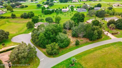 812 N Berlin Point drone (3 of 10)
