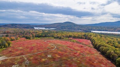 423 Beech Hill Rd, Northport, ME 04849 - photo 5