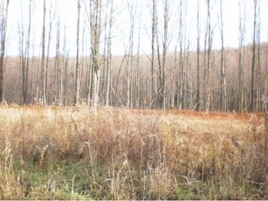 unlisted-address, Montrose, PA 18801 - photo 6