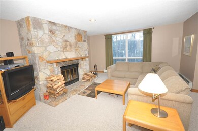 8 Northbrook Village Rd unit C21, Dover, VT 05356 - photo 2