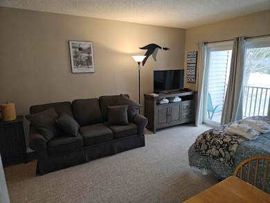 36 Lodge Rd unit D115, Lincoln, NH 03251 - photo 3