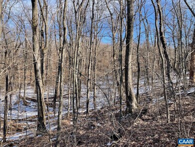 0 Rockledge Rd unit 5 661313, Afton, VA 22920 - photo 3