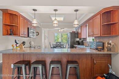 6572 River Run Blvd, Weeki Wachee, FL 34607 - photo 4