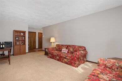 31 Lakeview Dr, Freeburg, IL 62243 - photo 6