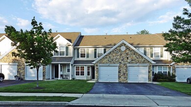 303 carnation wide view