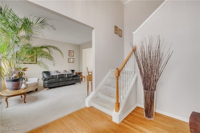 27167 Watkin Rd, Olmsted Falls, OH 44138 - photo 5