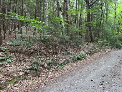 0 W Mountain Rd, Bernardston, MA 01337 - photo 3