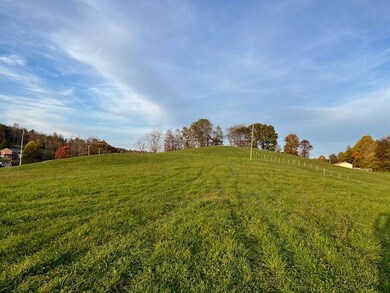Lot 5 Tbd Black Hollow Rd, Abingdon, VA 24210 - photo 4
