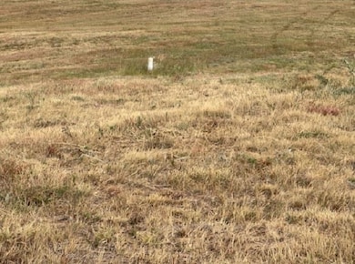 0 County Road 202 & 43 unit 20251565, Woodward, OK 73801 - photo 6