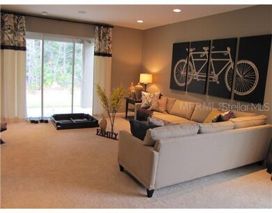 12316 Hammock Pointe Cir, Clermont, FL 34711 - photo 5