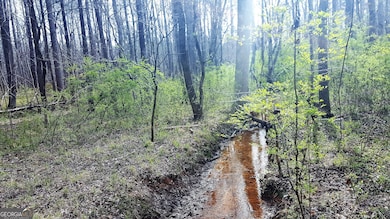 0 Stagecoach Rd unit 20.17 ACRES 10455441, Stockbridge, GA 30281 - photo 3