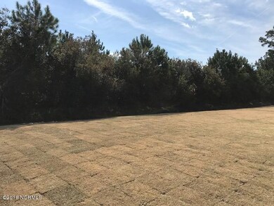 PrivateBackYard