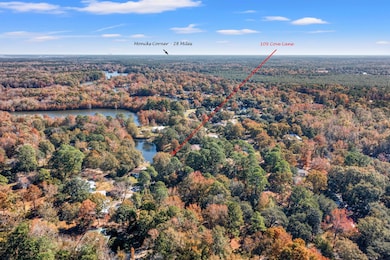 109 Cove Ln, Eutawville, SC 29048 - photo 4