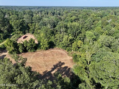 dji_fly_20240826_201858_0005_17248584964