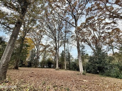 0 S Lee St, Forsyth, GA 31029 - photo 3