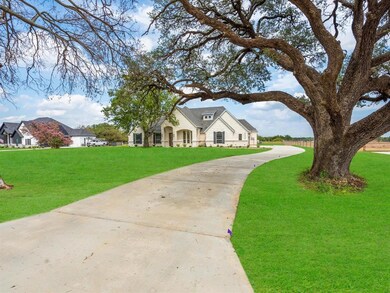 333 Wayward Spur, Springtown, TX 76082 - photo 5