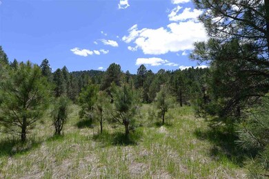 9 Copper Canyon Ct unit 12++, Cloudcroft, NM 88317 - photo 2