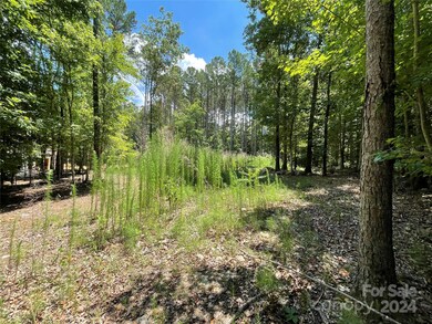 250 and 500 Cove Wood Dr unit 65, Denton, NC 27239 - photo 3