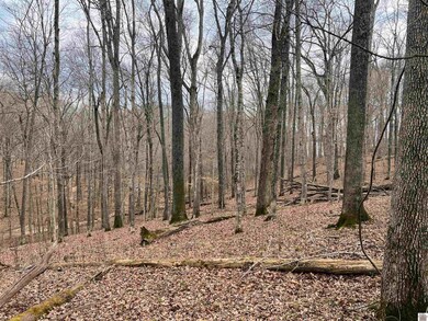 0 Woodfield Estates Dr unit 133500, Cadiz, KY 42211 - photo 5