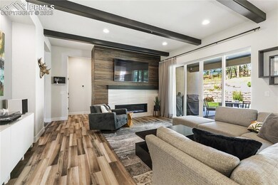 Main level living room with custom gas fireplace a