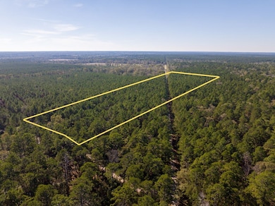 000 Forest Service Road 527, Apple Springs, TX 75926 - photo 4