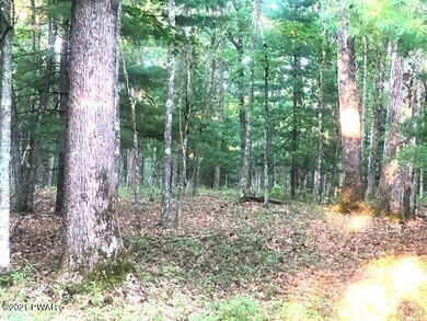 9 Briarcrest Dr, Lackawaxen Township, PA 18428 - photo 2